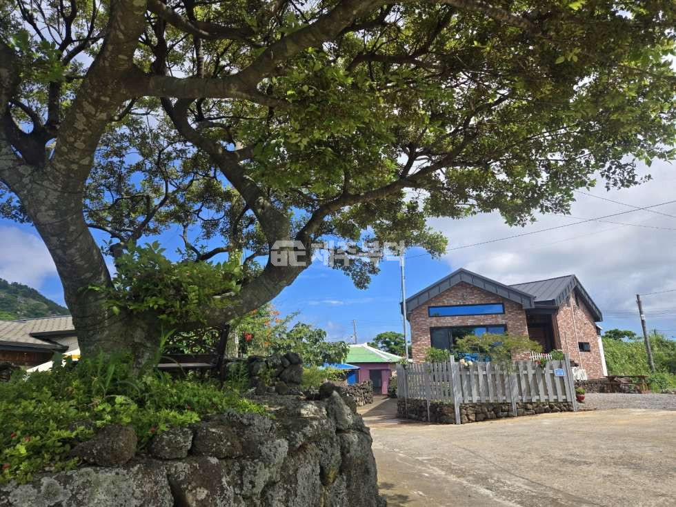 제주 제주시 한경면 고산리 제주 한경면 단독주택 2종일반주거지역 내에 위치 직접 지은 집 매매 매물번호 10050 사진 1
