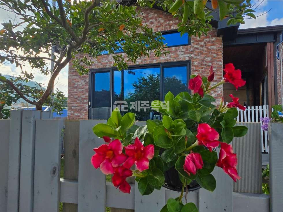 제주 제주시 한경면 고산리 제주 한경면 단독주택 2종일반주거지역 내에 위치 직접 지은 집 매매 매물번호 10050 사진 3