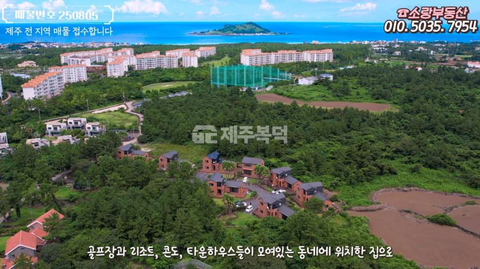 제주 제주시 한림읍 협재리 190평 정원 제주도 한림 협재 단독주택 매매.전세.연세 매매 매물번호 10025 사진 4