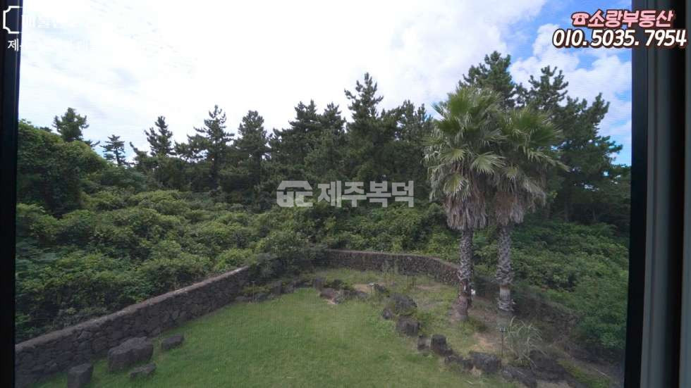 제주 제주시 한림읍 협재리 190평 정원 제주도 한림 협재 단독주택 매매.전세.연세 매매 매물번호 10025 사진 19